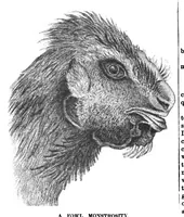 An illustration from Scientific American, Vol. 38, No. 6 (1878) (1878)