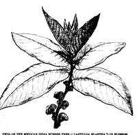 An illustration from Scientific American, Vol. 38, No. 7 (1878) (1878)
