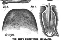 Picture 12 of 15 from Scientific American, Vol. 38, No. 9 (1878) (1878), leaf 8