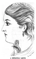 Picture 13 of 15 from Scientific American, Vol. 38, No. 9 (1878) (1878), leaf 9