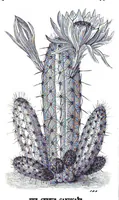 Picture 9 of 17 from Scientific American, Vol. 38, No. 10 (1878) (1878), leaf 8