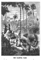 An illustration from Scientific American, Vol. 38, No. 11 (1878) (1878)