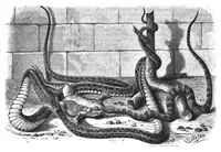 An illustration from Scientific American, Vol. 38, No. 11 (1878) (1878)