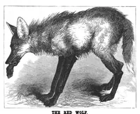 An illustration from Scientific American, Vol. 38, No. 12 (1878) (1878)