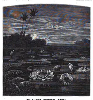Picture 9 of 14 from Scientific American, Vol. 38, No. 16 (1878) (1878), leaf 8