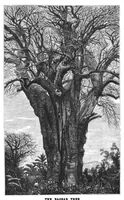 An illustration from Scientific American, Vol. 38, No. 17 (1878) (1878)
