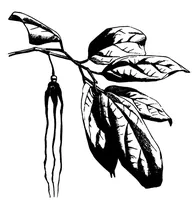 Picture 8 of 11 from Scientific American, Vol. 38, No. 17 (1878) (1878), leaf 8