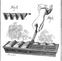 Picture 8 of 12 from Scientific American, Vol. 38, No. 18 (1878) (1878), leaf 8
