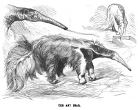 Picture 8 of 14 from Scientific American, Vol. 38, No. 22 (1878) (1878), leaf 8
