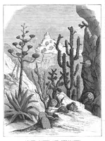 An illustration from Scientific American, Vol. 38, Nos. 24–25 (1878) (1878)
