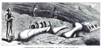 An illustration from Scientific American, Vol. 38, Nos. 24–25 (1878) (1878)