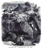 An illustration from Scientific American, Vol. 38, Nos. 24–25 (1878) (1878)