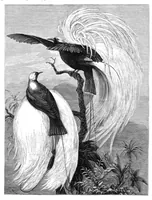 An illustration from Scientific American, Vol. 38, No. 25 (1878) (1878)