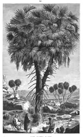 An illustration from Scientific American, Vol. 38, No. 26 (1878) (1878)