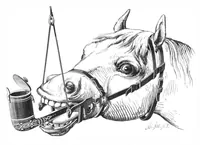 An illustration from Scientific American, Vol. 39, No. 3 (1878) (1878)
