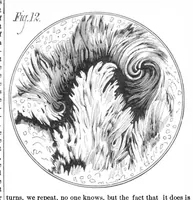 An illustration from Scientific American, Vol. 39, No. 6 (1878) (1878)