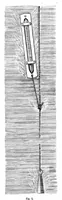 An illustration from Scientific American, Vol. 39, No. 6 (1878) (1878)