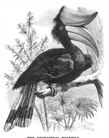 An illustration from Scientific American, Vol. 39, No. 6 (1878) (1878)