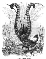 Picture 10 of 11 from Scientific American, Vol. 39, No. 7 (1878) (1878), leaf 8