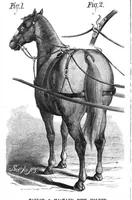 An illustration from Scientific American, Vol. 39, No. 9 (1878) (1878)