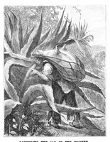 Picture 10 of 17 from Scientific American, Vol. 39, No. 12 (1878) (1878), leaf 8