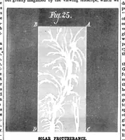Picture 4 of 11 from Scientific American, Vol. 39, No. 16 (1878) (1878), leaf 4