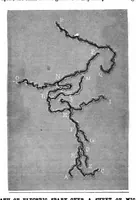 Picture 16 of 18 from Scientific American, Vol. 39, No. 21 (1878) (1878), leaf 9