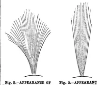 An illustration from Scientific American, Vol. 39, No. 25 (1878) (1878)
