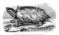 An illustration from Scientific American, Vol. 39, No. 25 (1878) (1878)