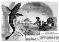 An illustration from Scientific American, Vol. 39, No. 26 (1878) (1878)