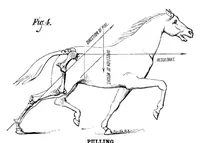 Picture 4 of 11 from Scientific American, Vol. 39, No. 26 (1878) (1878), leaf 4