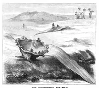 Picture 12 of 14 from Scientific American, Vol. 40, No. 8 (1879) (1879), leaf 10