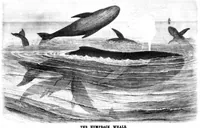 Picture 10 of 16 from Scientific American, Vol. 40, No. 9 (1879) (1879), leaf 8