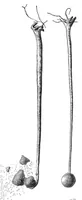 Picture 8 of 9 from Scientific American, Vol. 40, No. 10 (1879) (1879), leaf 10