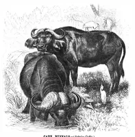 An illustration from Scientific American, Vol. 40, No. 15 (1879) (1879)