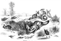 Picture 8 of 15 from Scientific American, Vol. 40, No. 16 (1879) (1879), leaf 8