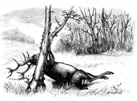 Picture 11 of 17 from Scientific American, Vol. 40, No. 18 (1879) (1879), leaf 8