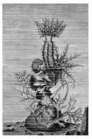 An illustration from Scientific American, Vol. 40, No. 25 (1879) (1879)