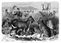 An illustration from Scientific American, Vol. 41, No. 2 (1879) (1879)
