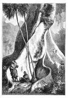 Picture 8 of 11 from Scientific American, Vol. 41, No. 9 (1879) (1879), leaf 8