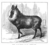 Picture 9 of 11 from Scientific American, Vol. 41, No. 9 (1879) (1879), leaf 8