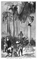 An illustration from Scientific American, Vol. 41, No. 10 (1879) (1879)