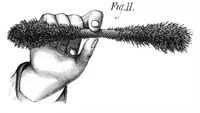 Picture 5 of 11 from Scientific American, Vol. 41, No. 13 (1879) (1879), leaf 5