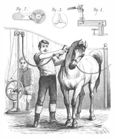 An illustration from Scientific American, Vol. 41, No. 14 (1879) (1879)