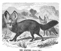 Picture 7 of 9 from Scientific American, Vol. 41, No. 15 (1879) (1879), leaf 8