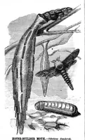 An illustration from Scientific American, Vol. 41, No. 22 (1879) (1879)