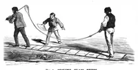 Picture 8 of 11 from Scientific American, Vol. 41, No. 23 (1879) (1879), leaf 10