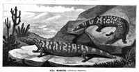 An illustration from Scientific American, Vol. 41, No. 25 (1879) (1879)