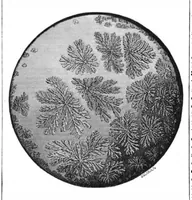 An illustration from Scientific American, Vol. 42, No. 5 (1880) (1880)