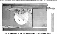 An illustration from Scientific American, Vol. 42, No. 6 (1880) (1880)